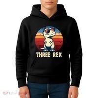 3 Rex Dinosaur 3rd Birthday Boy Girl Three Rex Birthday Kids Hoodie thumb 4