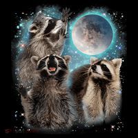 3 Racoon Moon Howling Raccoon Head Funny Coffee Mug thumb 5