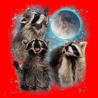 3 Racoon Moon Howling Raccoon Head Funny Santa Hat thumb 1