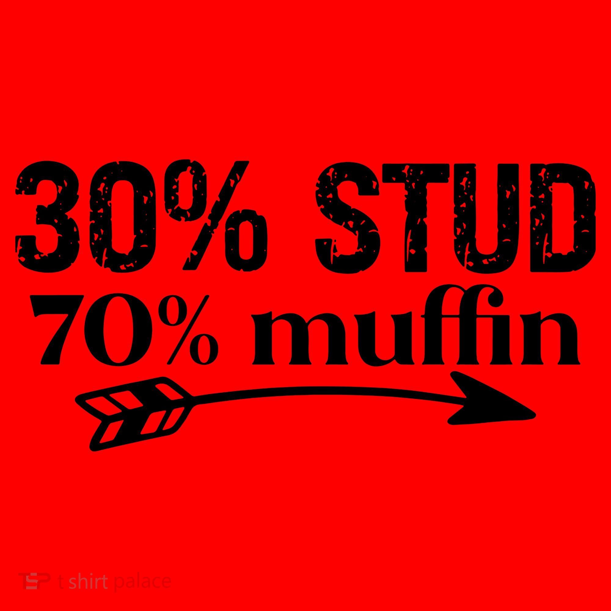30% Stud 70% Muffin Santa Hat