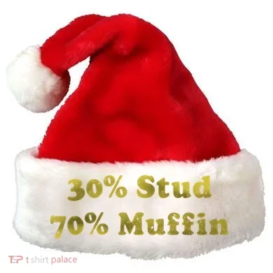 30% Stud 70% Muffin Santa Hat