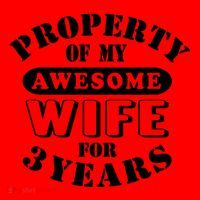 3rd Wedding Anniversary Wife Funny Gift 3 Year Husband My Awesome Santa Hat thumb 1