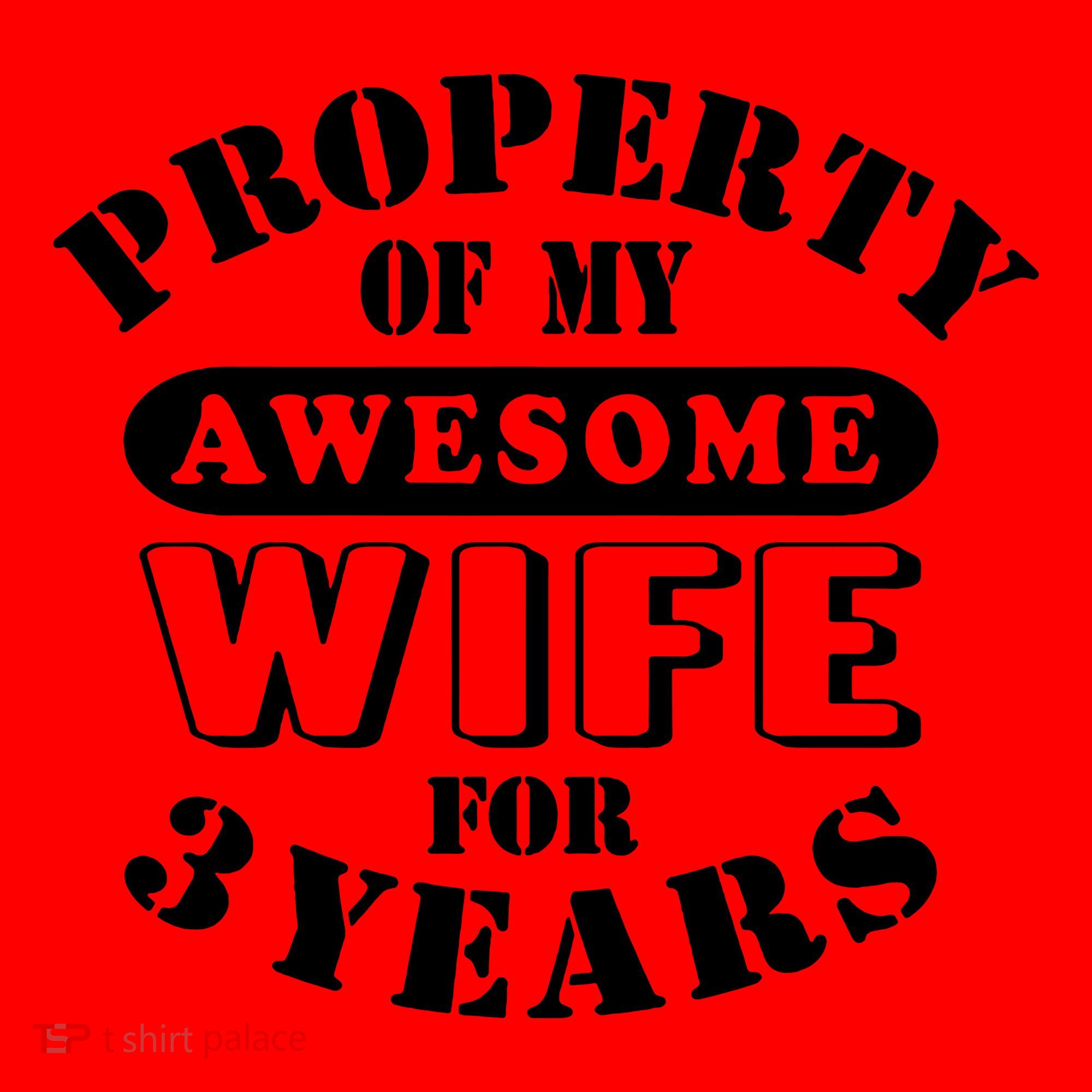 3rd Wedding Anniversary Wife Funny Gift 3 Year Husband My Awesome Santa Hat