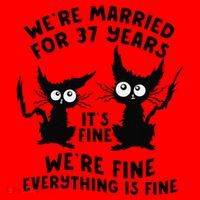 37th Wedding Anniversary 37 Years Married Its Fine Cat Funny Santa Hat thumb 1