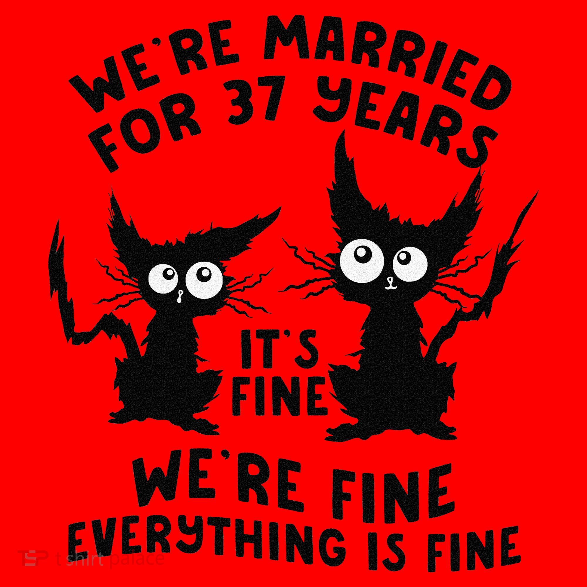 37th Wedding Anniversary 37 Years Married Its Fine Cat Funny Santa Hat