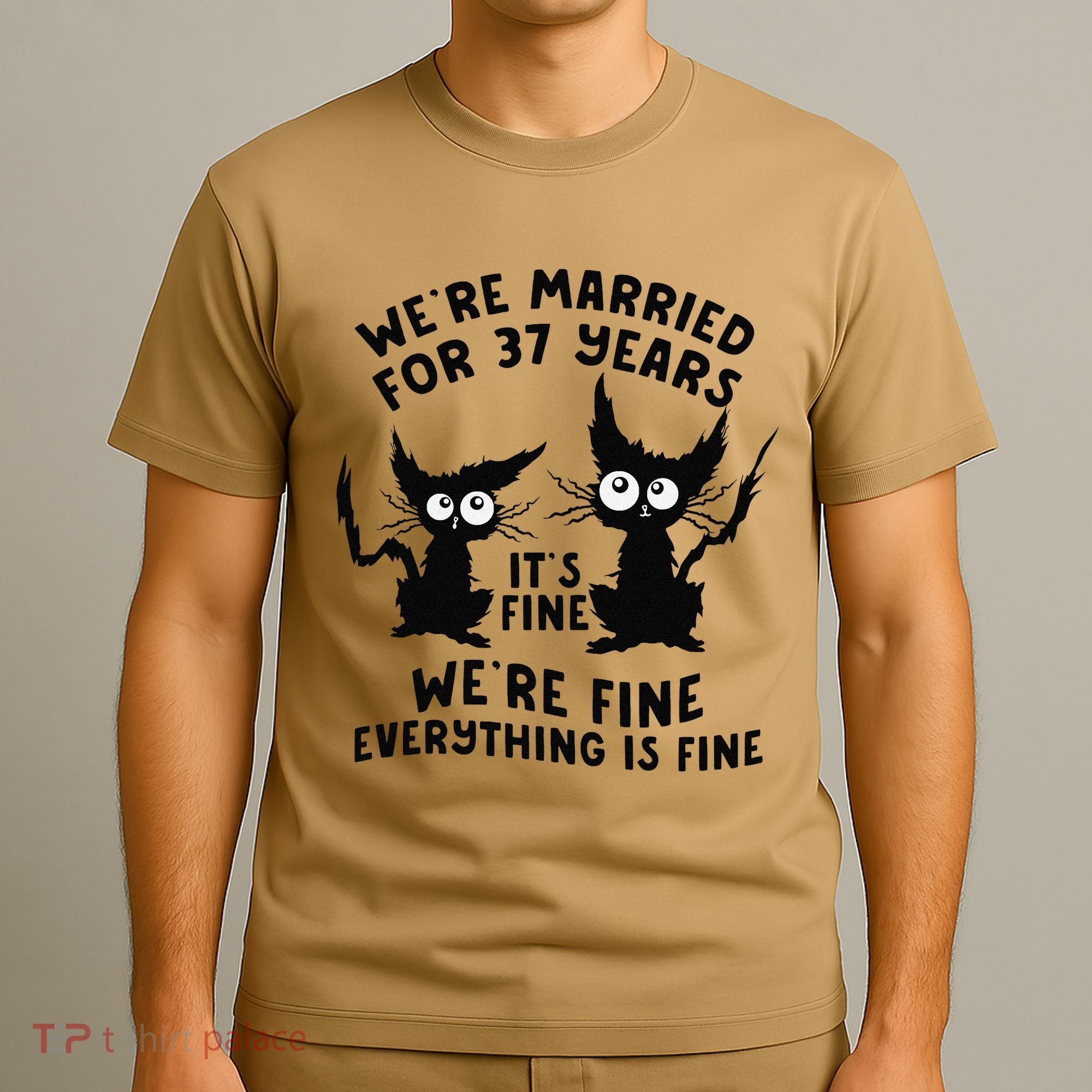 37th Wedding Anniversary 37 Years Married Its Fine Cat Funny T-Shirt