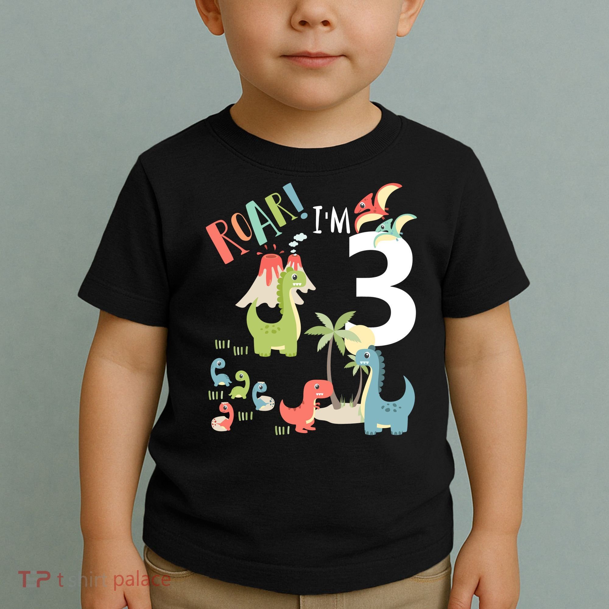 3 Year Old Roar Im 3 3rd Birthday Boy T Rex Dinosaur Toddler T-Shirt