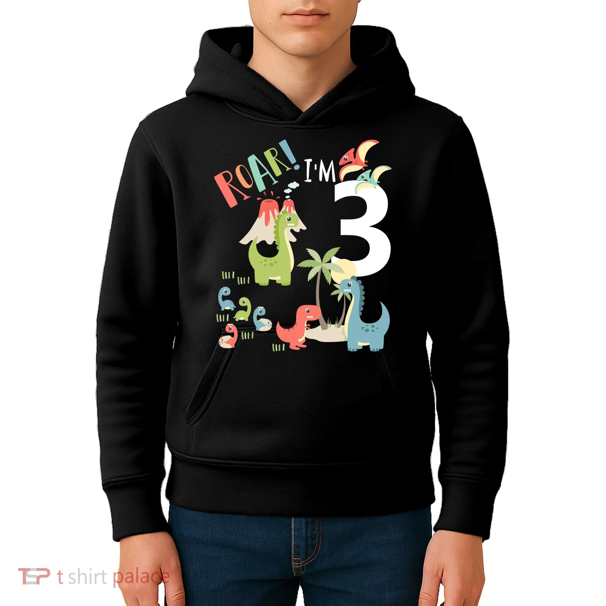 3 Year Old Roar Im 3 3rd Birthday Boy T Rex Dinosaur Kids Hoodie