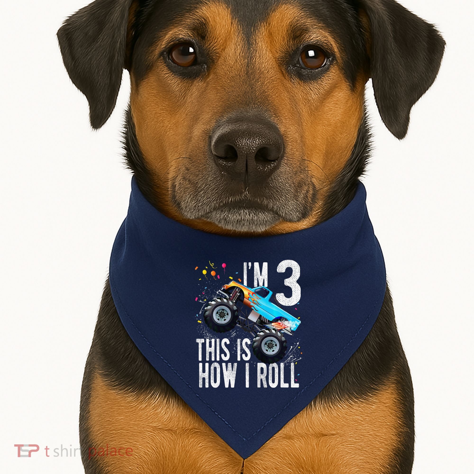 3 Year Old 3rd Birthday Boy Monster Truck Car USA-Made Doggie Bandana