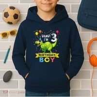 3 Year Old 3rd Birthday Boy T Rex Dinosaur Kids Hoodie thumb 2