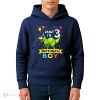 3 Year Old 3rd Birthday Boy T Rex Dinosaur Kids Hoodie thumb 4
