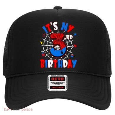 3 Years Old It_s My 3rd Birthday Spider Theme Party Hat