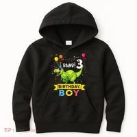 3 Year Old 3rd Birthday Boy T Rex Dinosaur Kids Hoodie thumb 0