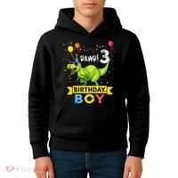 3 Year Old 3rd Birthday Boy T Rex Dinosaur Kids Hoodie thumb 4