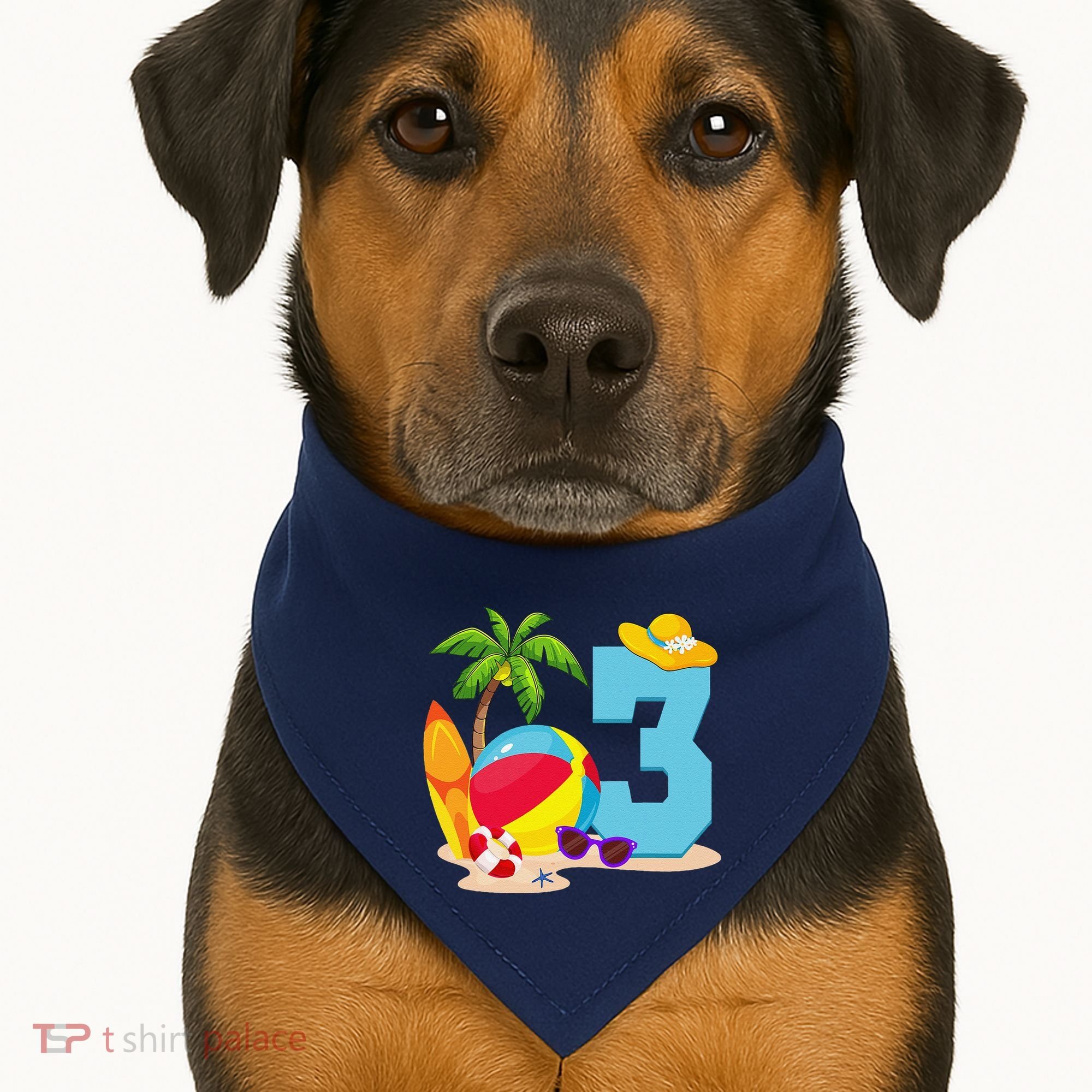 3 Year Old Beach Ball Pool Party Birthday Summer Vacation USA-Made Doggie Bandana