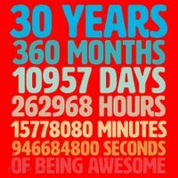 30 Years Of Being Awesome 30th Birthday Time Breakdown Santa Hat thumb 1