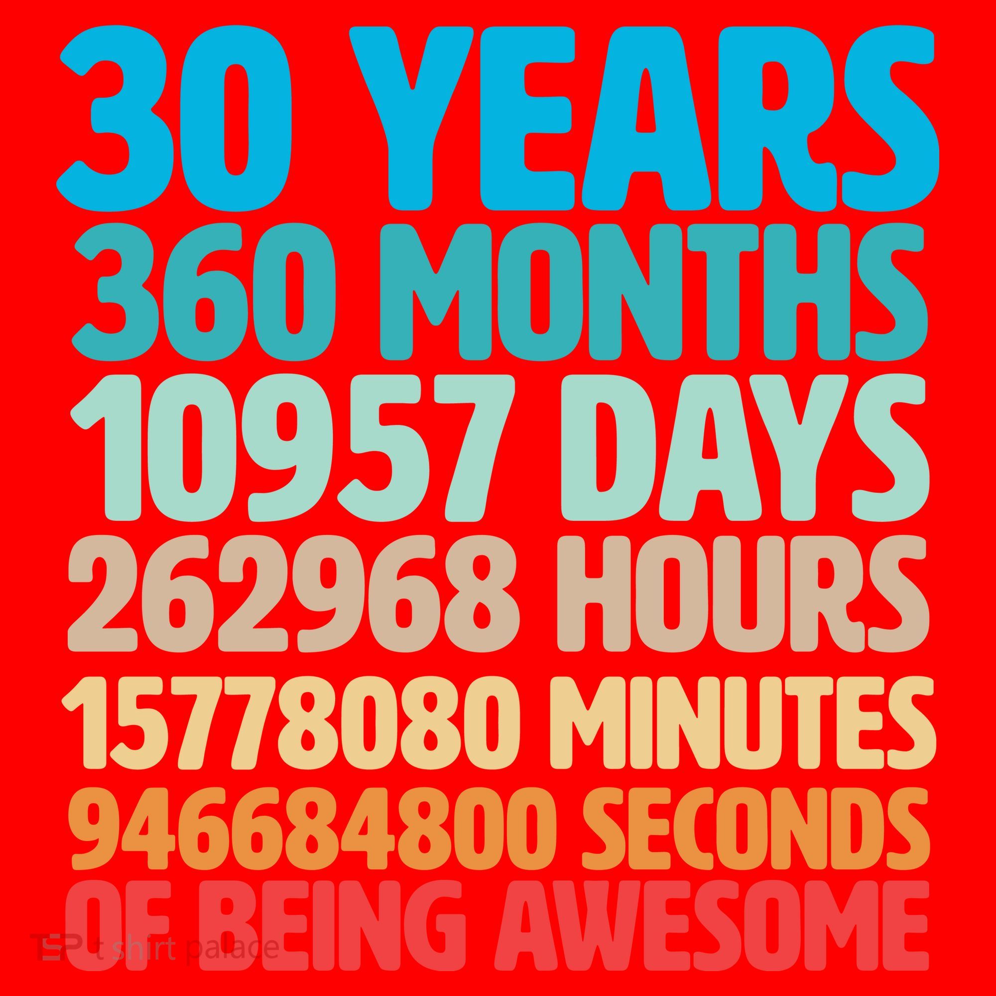 30 Years Of Being Awesome 30th Birthday Time Breakdown Santa Hat