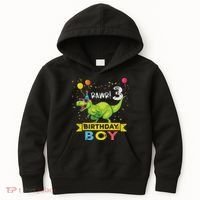 3 Year Old 3rd Birthday Boy T Rex Dinosaur Kids Hoodie thumb 0