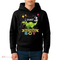 3 Year Old 3rd Birthday Boy T Rex Dinosaur Kids Hoodie thumb 4