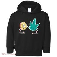 420 Bitcoin Toddler Hoodie thumb 0