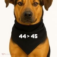 44 > 45 The 44th President is Greater Than 45th USA-Made Doggie Bandana thumb 1