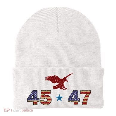 45 47 Beanie