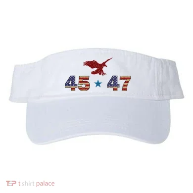 45 47 Visor