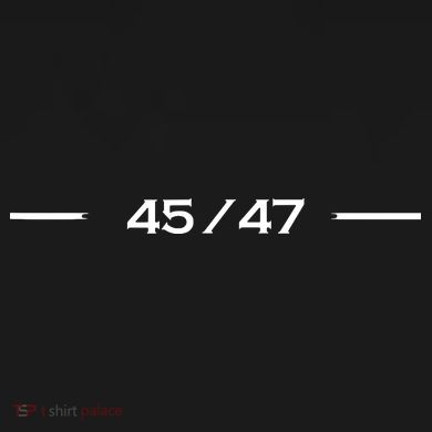 45 47 Visor