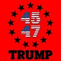 45 47 Trump Santa Hat thumb 1
