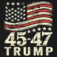 45 47 Usa Flag Trump Inauguration Day 2025 Women's Hoodie thumb 2