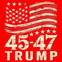 45 47 Usa Flag Trump Inauguration Day 2025 Santa Hat thumb 1