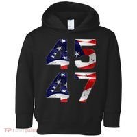 45 47 Usa Flag Toddler Hoodie thumb 0