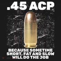 45 ACP Bullet Short Fat Slow Will Do To The Job Visor thumb 3