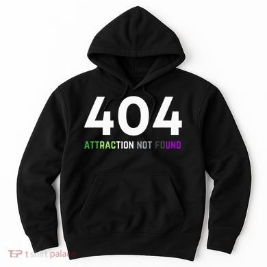 404 Attraction Not Found Funny Aroace Pride Aro Ace LGBTQ Hoodie