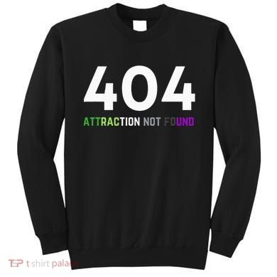 404 Attraction Not Found Funny Aroace Pride Aro Ace LGBTQ Sweatshirt