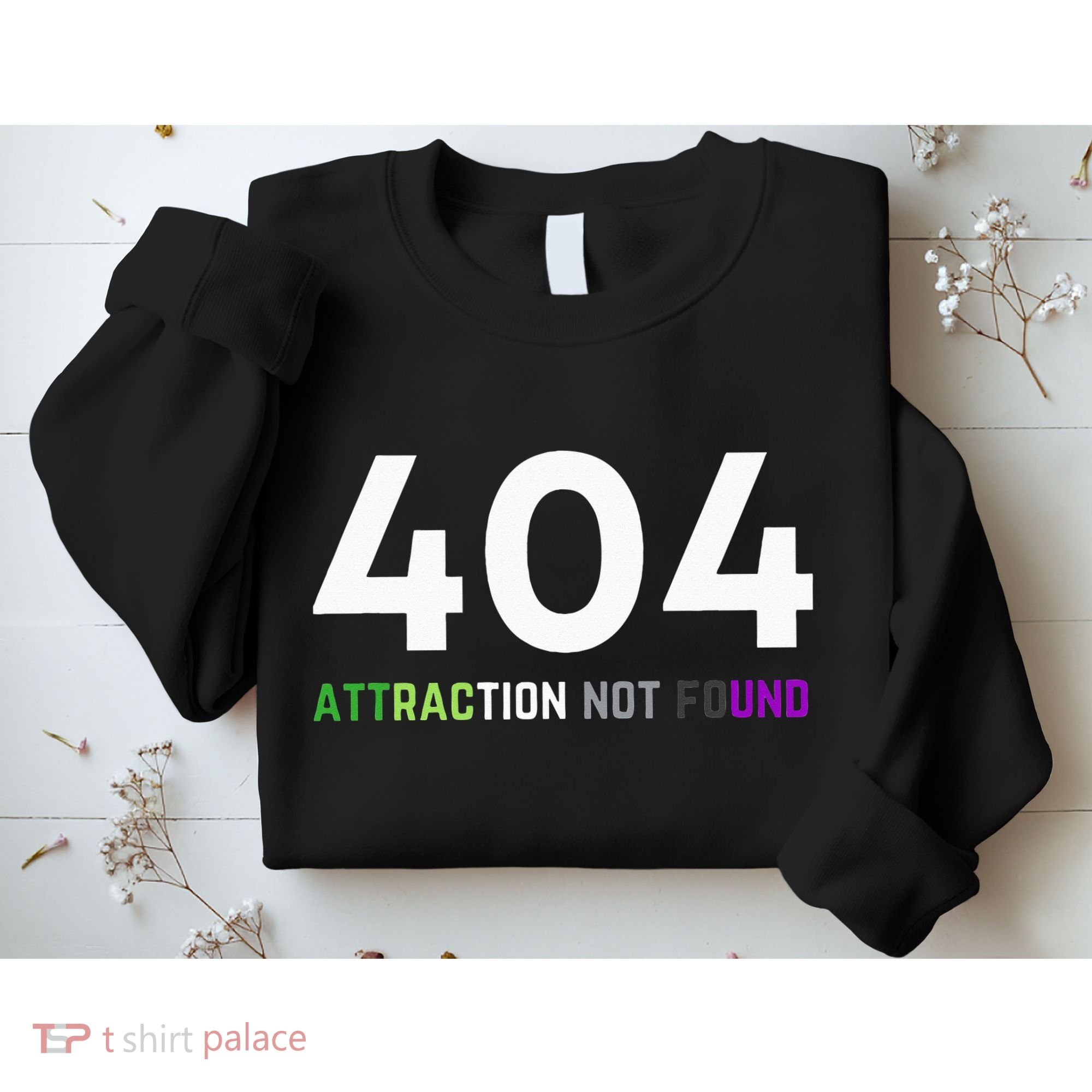 404 Attraction Not Found Funny Aroace Pride Aro Ace LGBTQ Sweatshirt