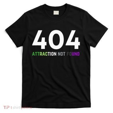 404 Attraction Not Found Funny Aroace Pride Aro Ace LGBTQ T-Shirt