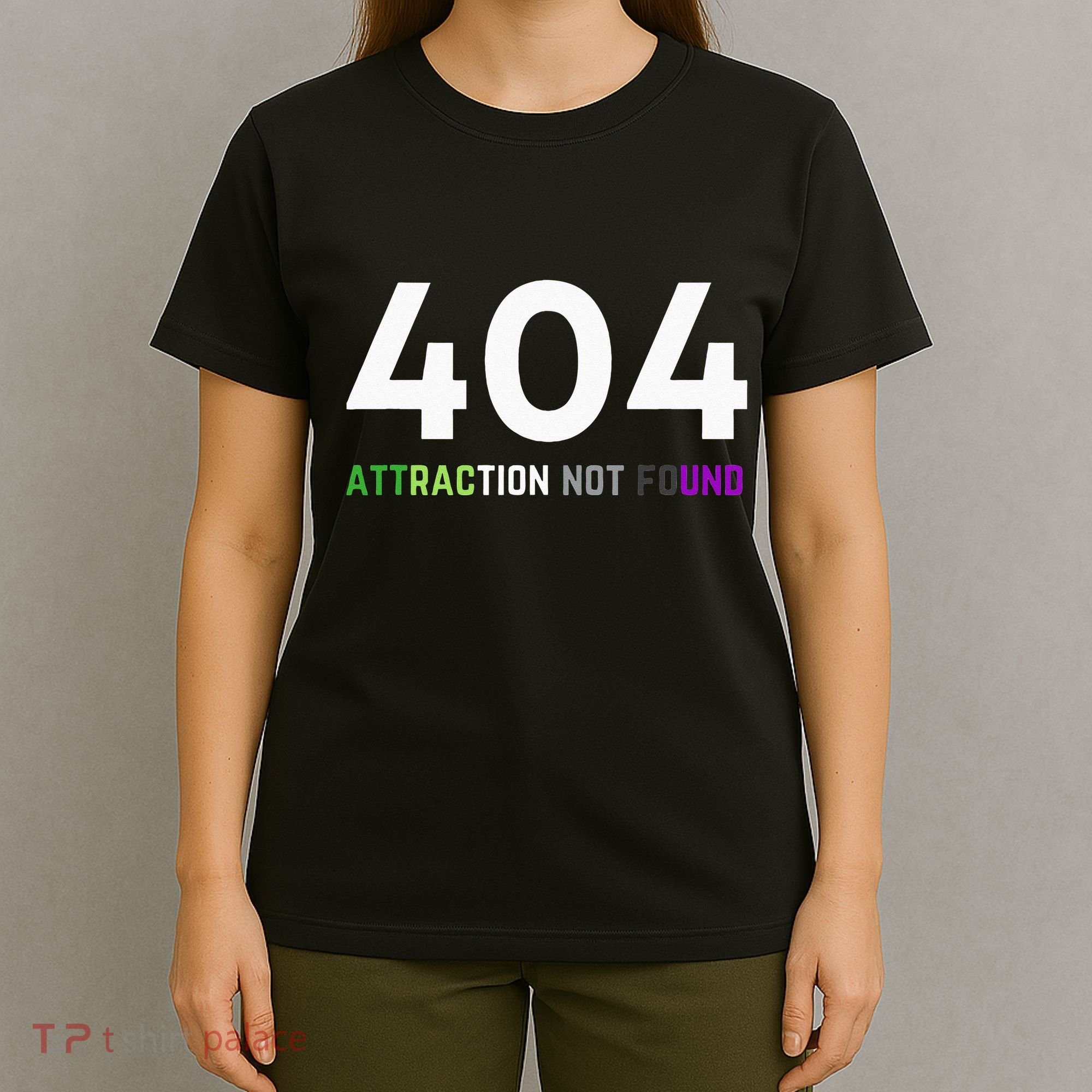 404 Attraction Not Found Funny Aroace Pride Aro Ace LGBTQ T-Shirt