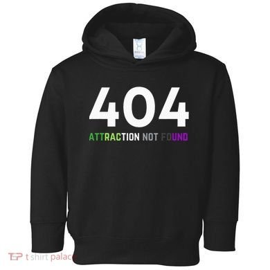 404 Attraction Not Found Funny Aroace Pride Aro Ace LGBTQ Toddler Hoodie