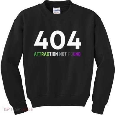 404 Attraction Not Found Funny Aroace Pride Aro Ace LGBTQ Kids Sweatshirt