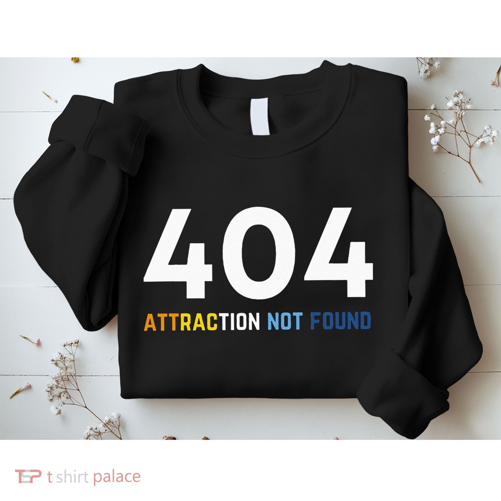 404 Attraction Not Found Funny Aroace Pride Aro Ace LGBTQ Sweatshirt
