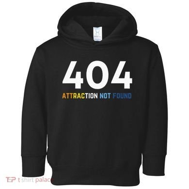 404 Attraction Not Found Funny Aroace Pride Aro Ace LGBTQ Toddler Hoodie