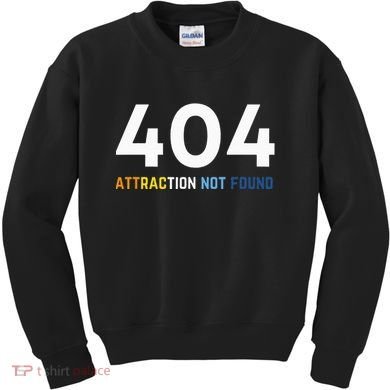 404 Attraction Not Found Funny Aroace Pride Aro Ace LGBTQ Kids Sweatshirt