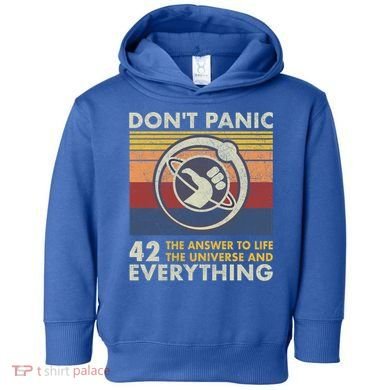 42 Answer To All Questions Gift Life Universe Everything Funny Gift Toddler Hoodie