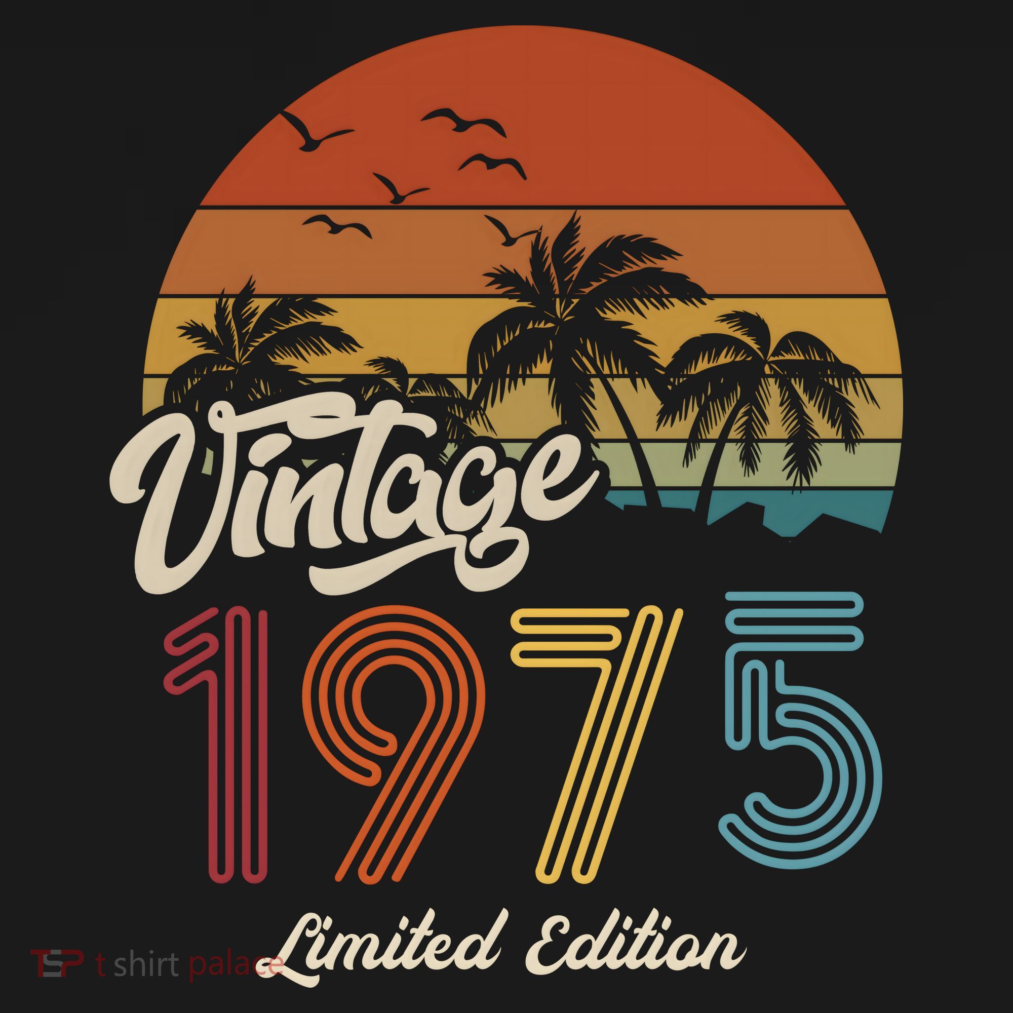 48th Birthday Vintage Limited Edition 1975 T-Shirt
