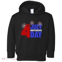 4th Of July Independence Day Fireworks Celebration Toddler Hoodie thumb 0