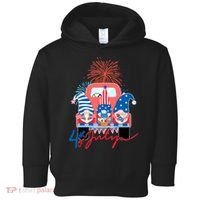 4th Of July Gnome Celebration Toddler Hoodie thumb 0