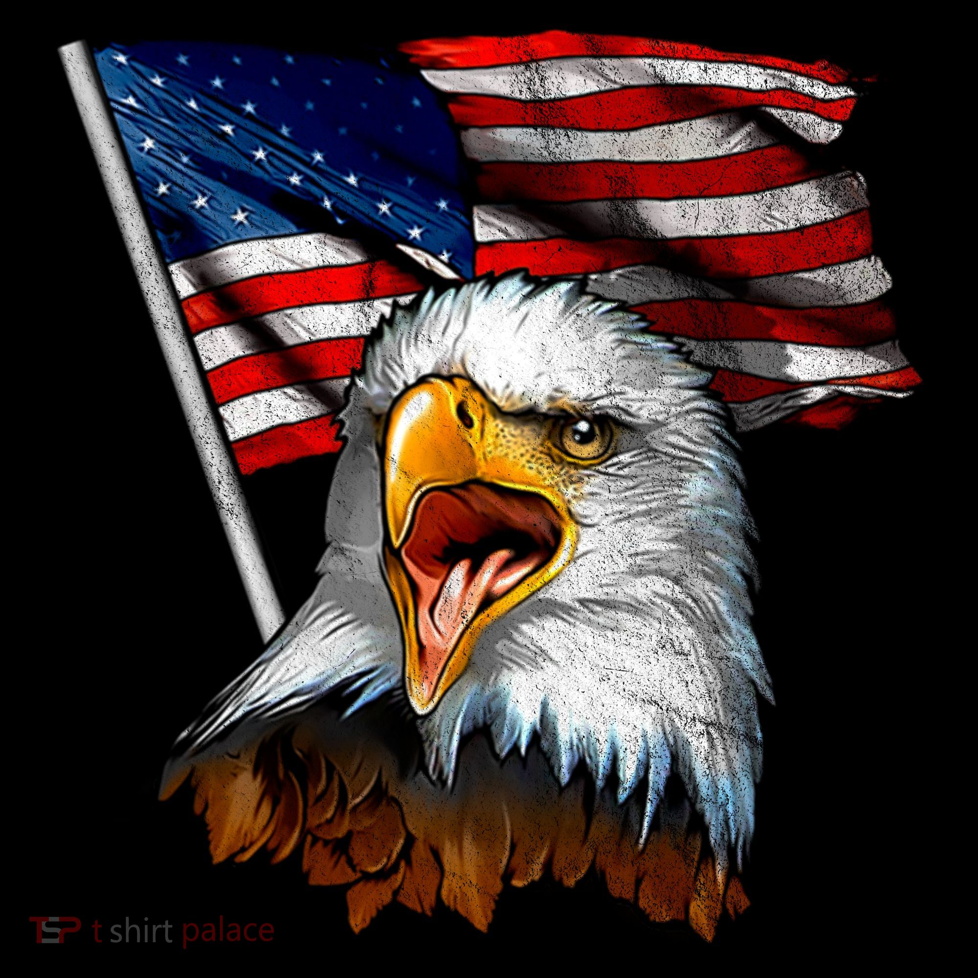 4th Of July Eagle American Flag Women's Hoodie