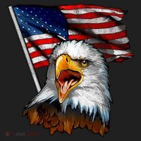 4th Of July Eagle American Flag Hat thumb 2