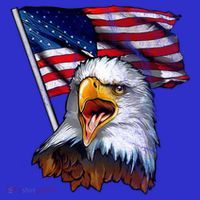 4th Of July Eagle American Flag Women's Tank Top thumb 5